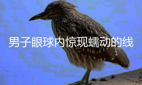 男子眼球內(nèi)驚現(xiàn)蠕動的線蟲，醫(yī)學(xué)專家揭秘與深度解析