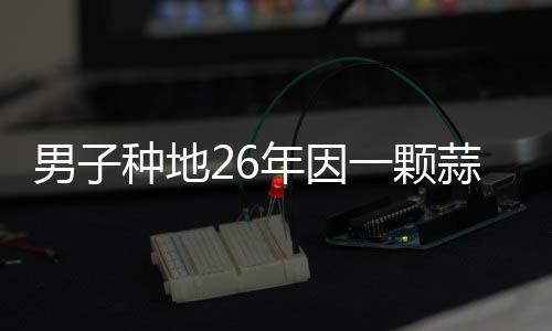 男子種地26年因一顆蒜火了——艱辛種植成就個人品牌的輝煌歷程