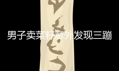 男子賣菜籽意外發(fā)現三蹦子載運的菜籽竟全是偷的