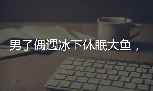 男子偶遇冰下休眠大魚，意外收獲引熱議，這是自然賦予的奇跡嗎？