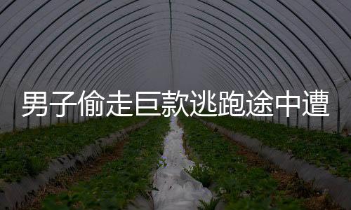 男子偷走巨款逃跑途中遭遇車禍，警方緊急介入調(diào)查