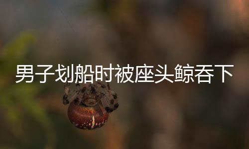 男子劃船時被座頭鯨吞下后吐出，奇跡般的生存故事