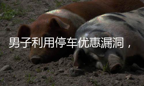 男子利用停車優(yōu)惠漏洞，頻繁逃費被曝光，涉嫌逃費停車費達71次