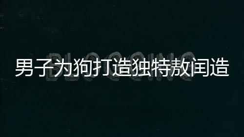 男子為狗打造獨(dú)特敖閏造型，一場(chǎng)創(chuàng)意與寵愛(ài)的結(jié)合