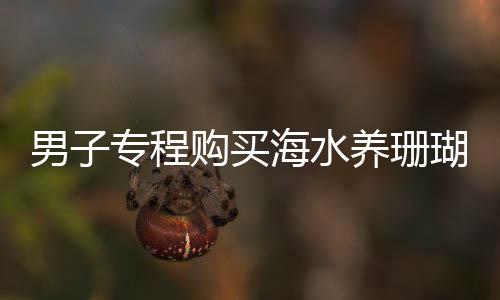 男子專程購(gòu)買海水養(yǎng)珊瑚，熱愛與堅(jiān)持背后的故事