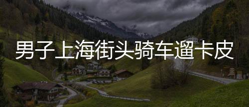 男子上海街頭騎車遛卡皮巴拉，獨特休閑方式引關注