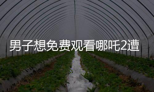 男子想免費觀看哪吒2遭遇騙局，損失880元