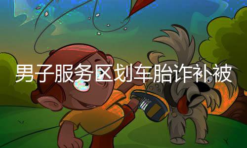 男子服務(wù)區(qū)劃車胎詐補被刑拘，一起探究事件的來龍去脈