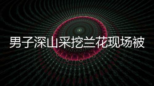 男子深山采挖蘭花現(xiàn)場被擒，法律對野生植物保護的嚴峻警示