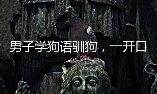 男子學狗語馴狗，一開口就被撲咬——探尋人與犬的溝通之道
