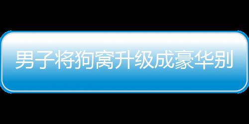 男子將狗窩升級成豪華別墅，人與寵物的溫馨共享空間
