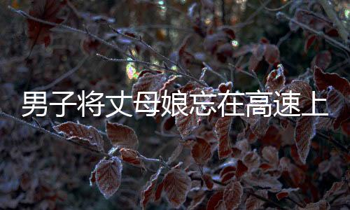 男子將丈母娘忘在高速上，一場(chǎng)意外的疏忽與及時(shí)的救援