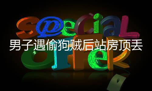 男子遇偷狗賊后站房頂丟磚頭猛砸，英勇舉動贏得社會點贊