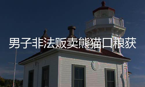 男子非法販賣熊貓口糧獲刑，一起揭示保護野生動物的法律紅線事件