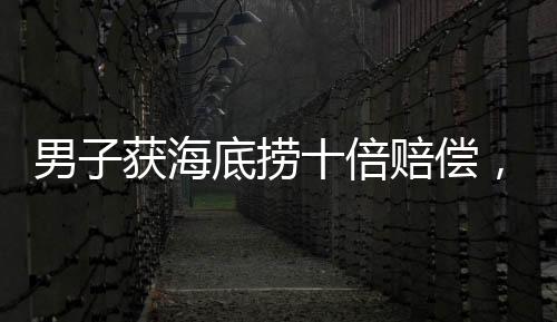 男子獲海底撈十倍賠償，朋友要求平分——引發(fā)賠償分配問(wèn)題的熱議