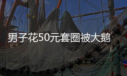 男子花50元套圈被大鵝上課——城市套圈活動的意外啟示