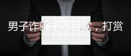 男子詐騙千萬(wàn)巨款，打賞主播七百萬(wàn)，虛擬世界的金錢狂歡與悲劇警醒
