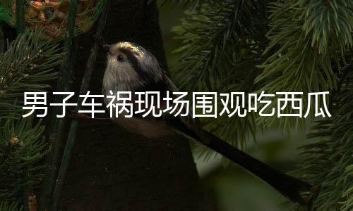 男子車禍現(xiàn)場圍觀吃西瓜，意外被民警查出酒駕——酒后切勿駕車，安全警鐘長鳴