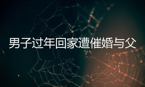男子過(guò)年回家遭催婚與父親辯論被KO，一場(chǎng)關(guān)于婚戀觀(guān)的激烈碰撞