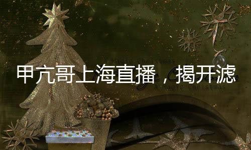 甲亢哥上海直播，揭開濾鏡背后的真實(shí)中國