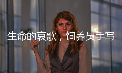生命的哀歌，飼養(yǎng)員手寫的訃告，紀(jì)念逝去的河馬