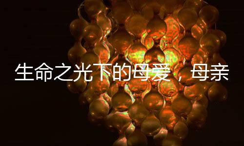 生命之光下的母愛，母親癌癥晚期堅(jiān)守的愛與關(guān)懷