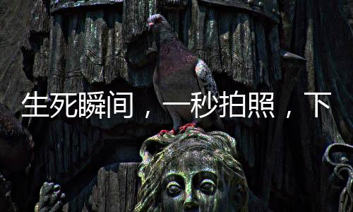 生死瞬間，一秒拍照，下一秒被撞飛