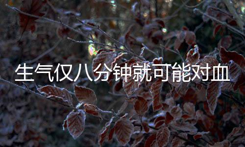 生氣僅八分鐘就可能對血管造成損害
