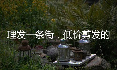 理發(fā)一條街，低價剪發(fā)的魅力與挑戰(zhàn)