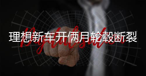 理想新車開倆月輪轂斷裂事件揭秘，車主遭遇與4S店回應(yīng)