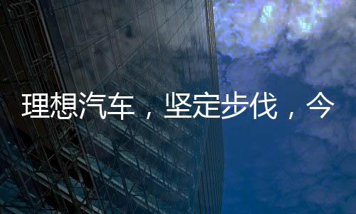 理想汽車，堅定步伐，今年純電SUV即將問世