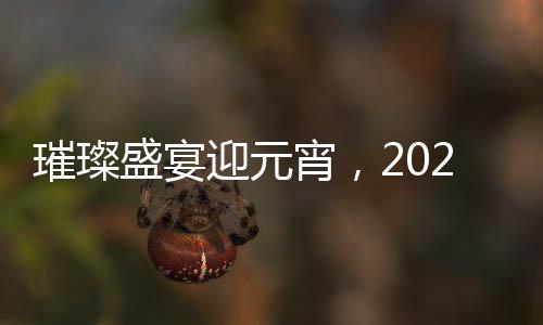 璀璨盛宴迎元宵，2025江蘇衛(wèi)視元宵晚會(huì)全景解析