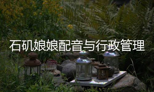 石磯娘娘配音與行政管理，發(fā)掘幕后魅力，揭秘行政新風(fēng)尚