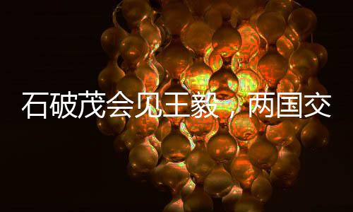 石破茂會見王毅，兩國交流背后深藏的漢字含義
