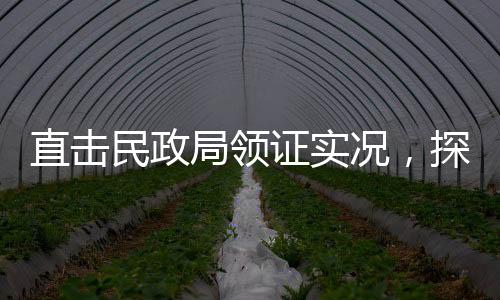 直擊民政局領(lǐng)證實(shí)況，探訪婚姻登記現(xiàn)場