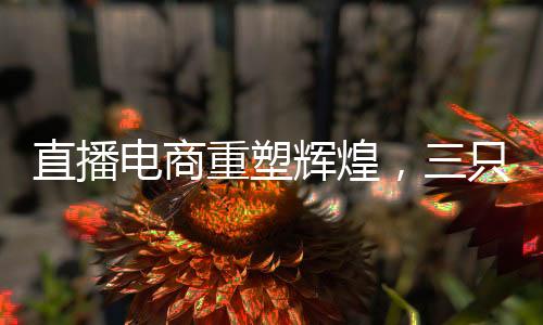 直播電商重塑輝煌，三只羊再啟程 ——關(guān)于直播電商整改的最新動態(tài)