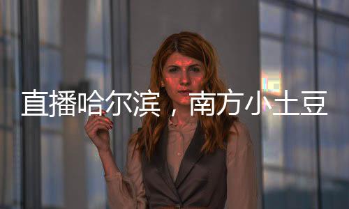 直播哈爾濱，南方小土豆被寵哭了