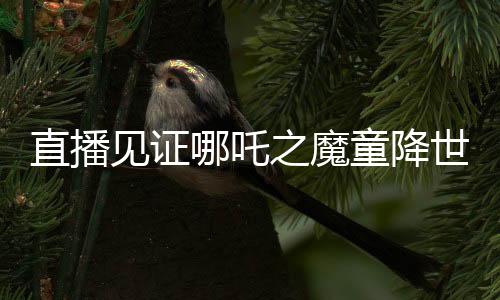 直播見(jiàn)證哪吒之魔童降世票房登頂，刷新影史記錄的時(shí)刻