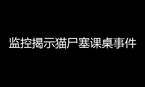 監(jiān)控揭示貓尸塞課桌事件，校園安全與動物福利的雙重關(guān)注