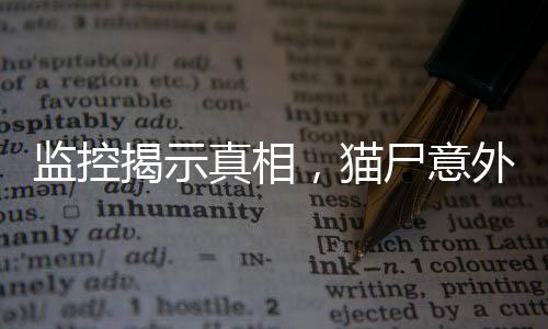 監(jiān)控揭示真相，貓尸意外發(fā)現(xiàn)引發(fā)課堂驚變
