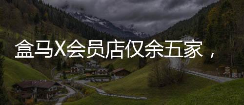 盒馬X會(huì)員店僅余五家，深度解讀其經(jīng)營狀況與市場(chǎng)布局