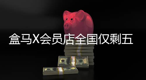 盒馬X會員店全國僅剩五家，零售變革下的新局面分析