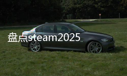 盤點(diǎn)steam2025年新品節(jié)熱門游戲，國(guó)產(chǎn)作品表現(xiàn)亮眼