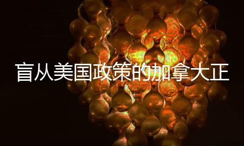 盲從美國(guó)政策的加拿大正面臨反噬——一項(xiàng)深度觀察