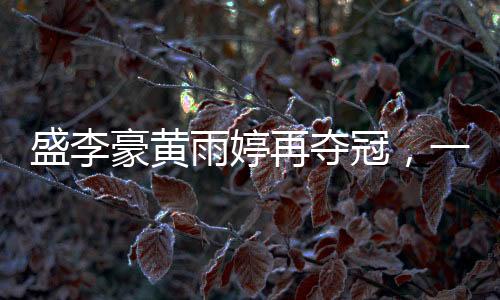 盛李豪黃雨婷再奪冠，一二三四，賽場上的輝煌篇章