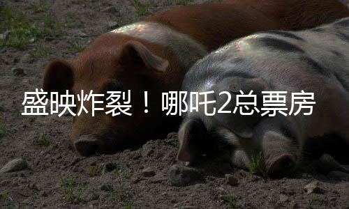 盛映炸裂！哪吒2總票房突破143億，再創(chuàng)國(guó)產(chǎn)動(dòng)畫(huà)神話(huà)！