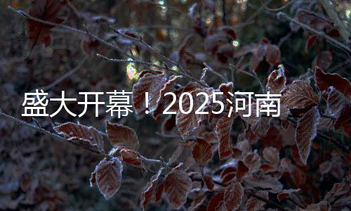 盛大開幕！2025河南春晚展現(xiàn)中原文化魅力