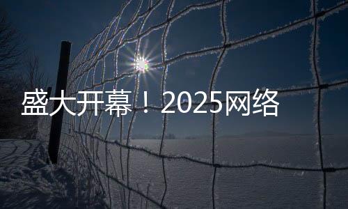 盛大開幕！2025網(wǎng)絡(luò)視聽盛典引領(lǐng)視聽新風(fēng)尚