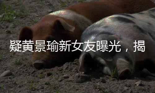 疑黃景瑜新女友曝光，揭秘背后故事與情感糾葛