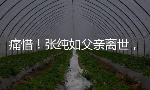 痛惜！張純?nèi)绺赣H離世，留下一生的教育痕跡與深刻思考